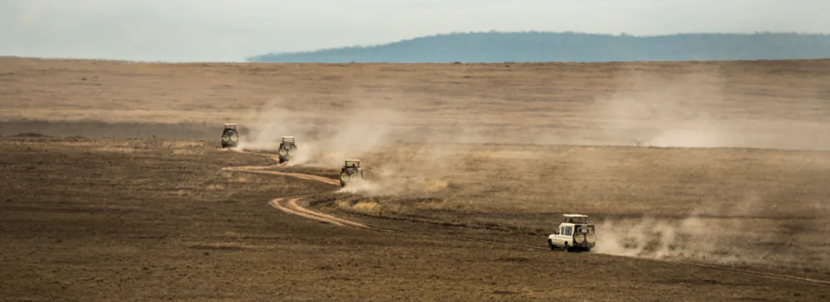 Safari vehicles driving across the Serengeti plains, raising dust